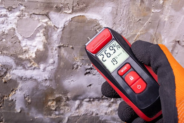 Trusted Campbellsville, KY Mold Remediation Experts